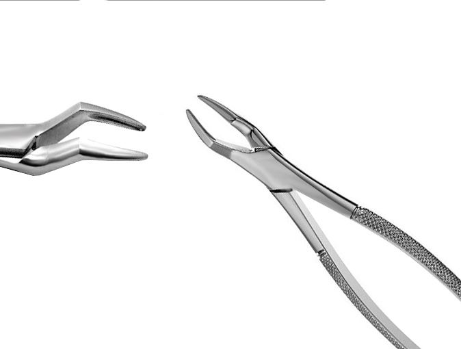 65 Upper Incisors, Roots & Fragments 65 Upper Incisors, Roots & Fragments
