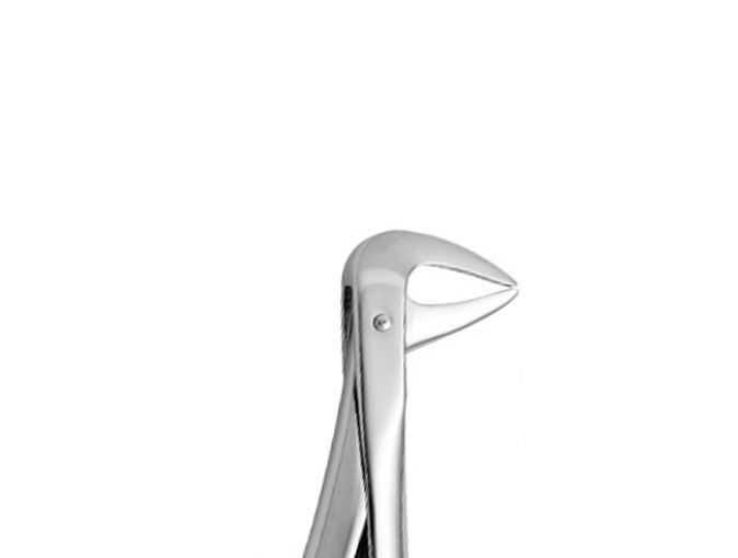 74N Lower Roots, Narrow Beaks Item # 43671 74N Lower Roots, Narrow Beaks