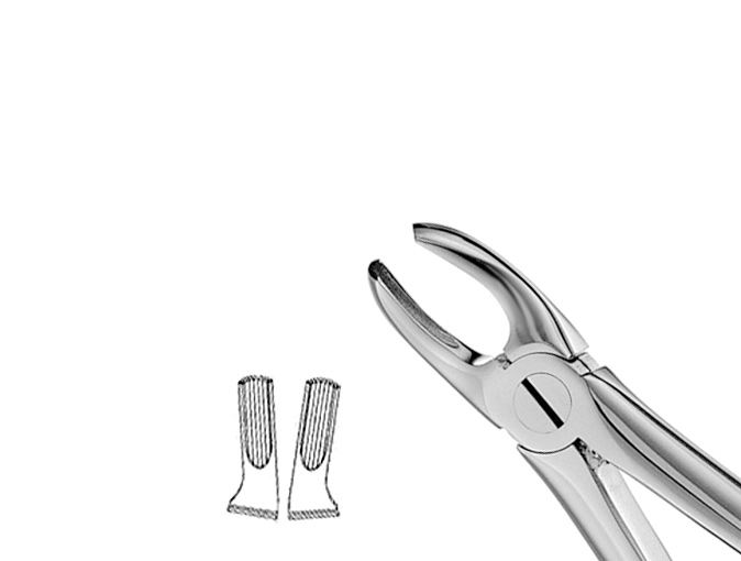 MD2 Upper 1st, 2nd, 3rd Molars; Mead; Universal MD2 Upper 1st, 2nd, 3rd Molars; Mead; Universal