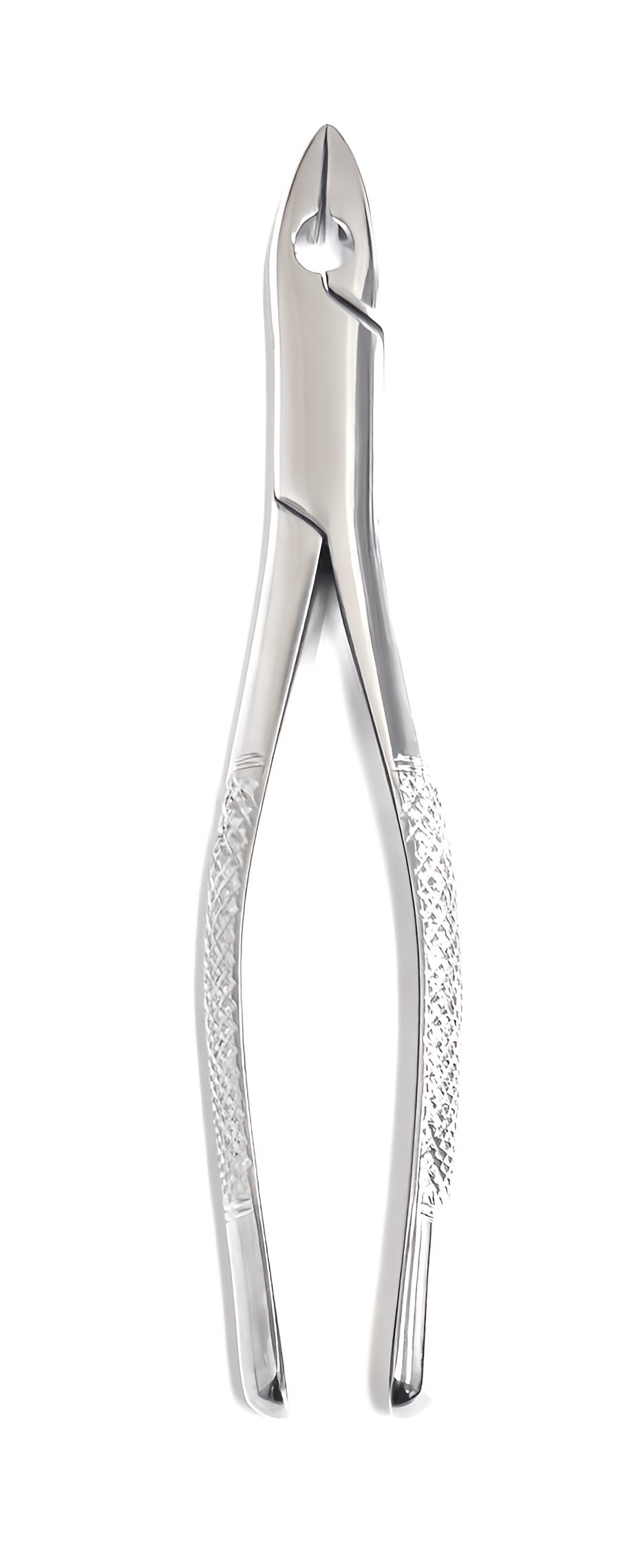 Extraction Forceps 1